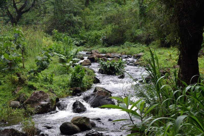 Moshi: Bike Tour to Materuni Waterfalls & Coffee Tour - Who Will Love This Tour