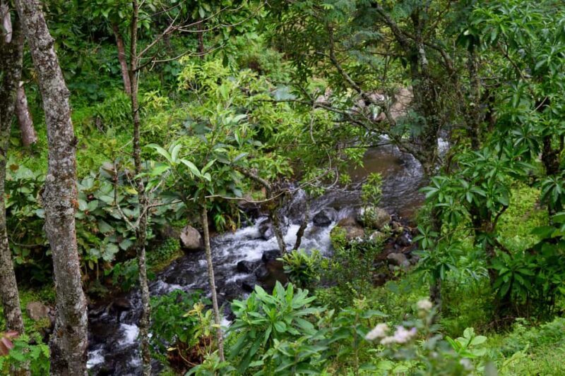 Moshi: Bike Tour to Materuni Waterfalls & Coffee Tour - The Sum Up