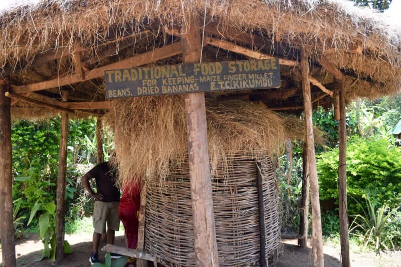 Moshi: Chagga Village Overnight with Second Day Options - The Practical Side: What’s Included and What to Know