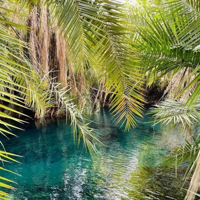 Moshi: Chemka Hot Springs and Forest Day Trip with Guide - Practical Details and Value