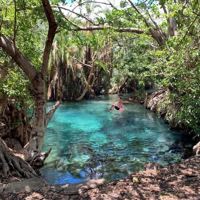 Moshi: Chemka Hot Springs and Forest Day Trip with Guide - What Travelers Say