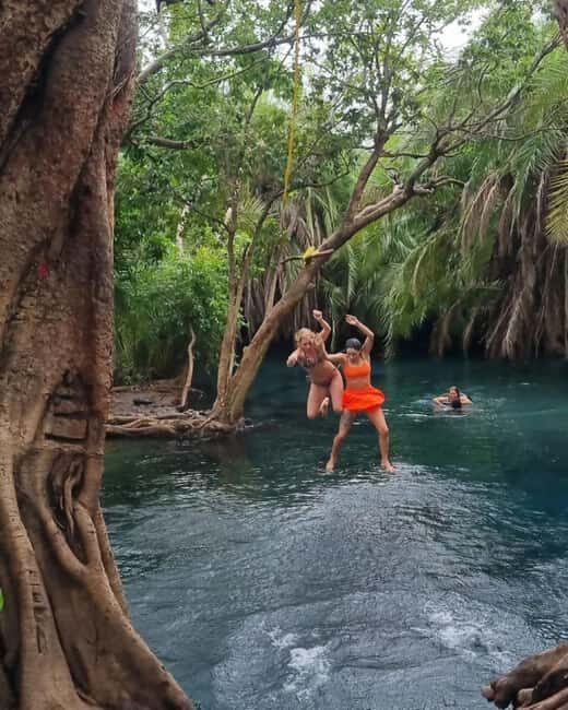 Moshi: Chemka Hot Springs and Forest Day Trip with Guide - The Sum Up