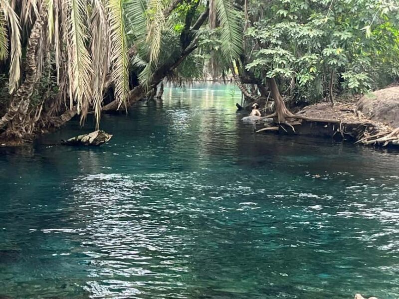 Moshi: Chemka Hot Springs Day Trip with Lunch - What Makes This Tour Special?