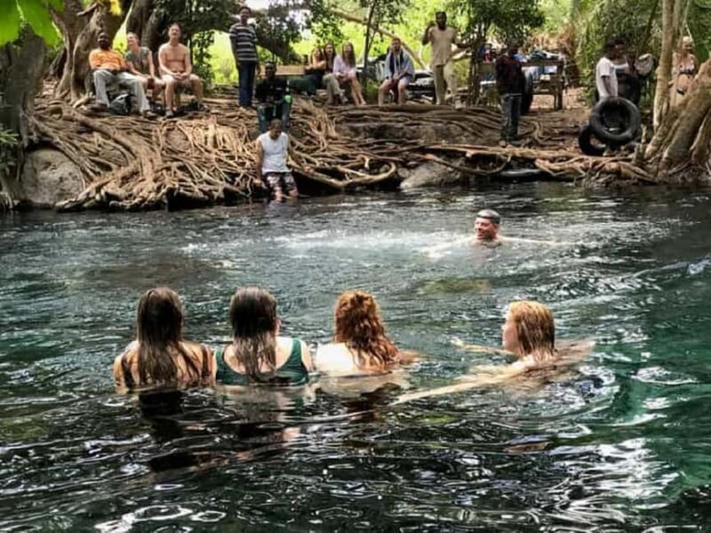 Moshi-Chemka Hot Springs tour with food and drinks - Exploring the Surroundings: Light Adventure and Nature
