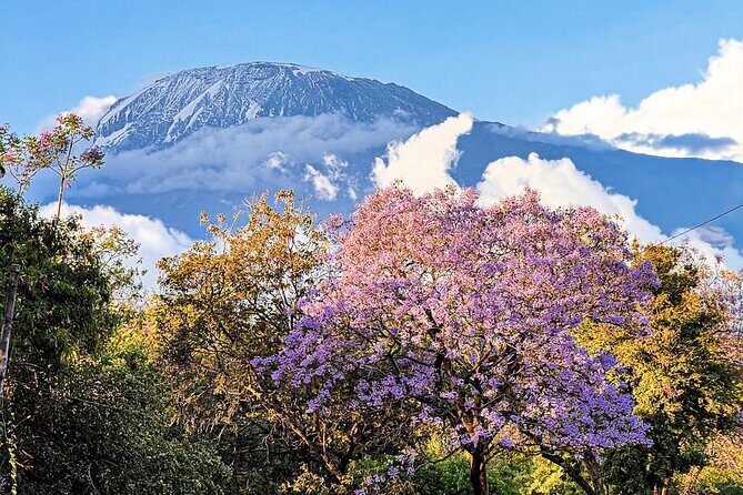 Moshi City Tour: Explore the Foothill of Kilimanjaro on Foot - Key Points