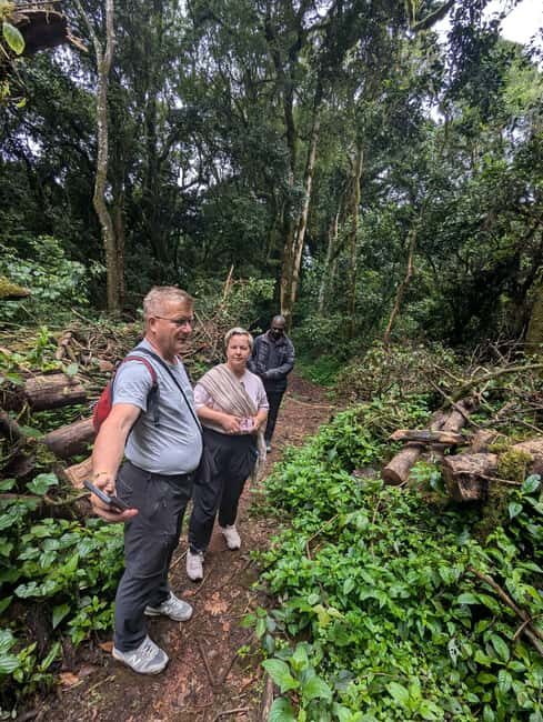 Moshi: Kilimanjaro Climb Marangu Route Guided Tour - Authentic Experiences and Real Traveler Feedback