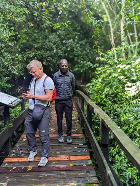 Moshi: Kilimanjaro Climb Marangu Route Guided Tour - Who Should Consider This Tour?