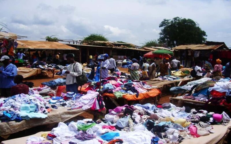 Moshi, Kilimanjaro: Local Market Shopping Experience - Key Points
