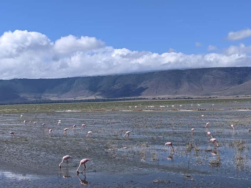 Moshi: Lake Chala Day Trip with Guided Hike and Lunch - Detailed Breakdown of the Itinerary