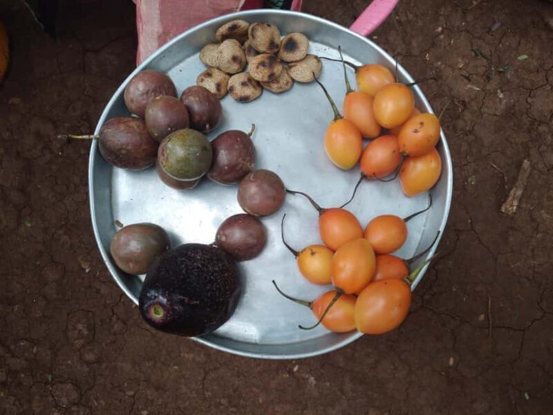 Moshi: Materuni Village and Waterfalls Day Trip with Lunch - A Detailed Look at the Moshi: Materuni Village and Waterfalls Tour