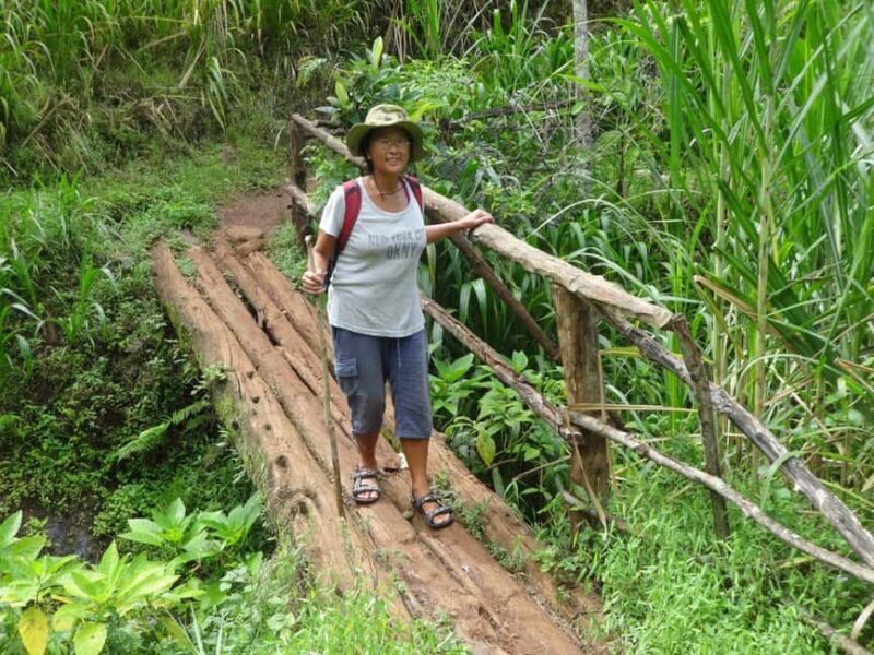 Moshi: Materuni Village and Waterfalls Day Trip with Lunch - The Village: A Peek into Chagga Life
