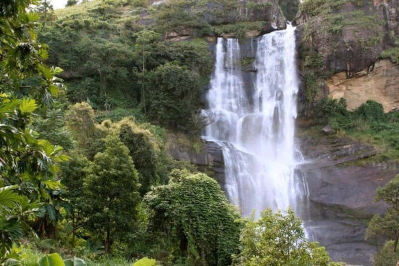 MOSHI: Materuni Waterfall and Coffee Farm - The Guided Hike to Materuni Waterfall