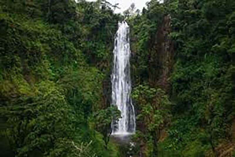 Moshi: Materuni Waterfall and Coffee Tour with Lunch - Key Points