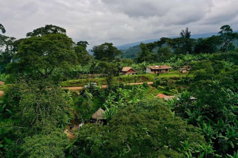 Moshi: Materuni Waterfall and Coffee Tour with Lunch - An In-Depth Look at the Materuni Waterfall and Coffee Tour