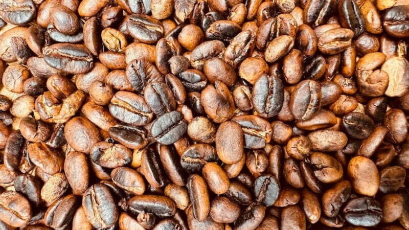 Moshi: Materuni Waterfall and Coffee Tour with Lunch - Who Should Consider This Tour?