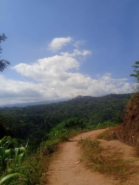 Moshi: Materuni Waterfall and Kikuletwa Hot Springs Day - Analyzing the Value