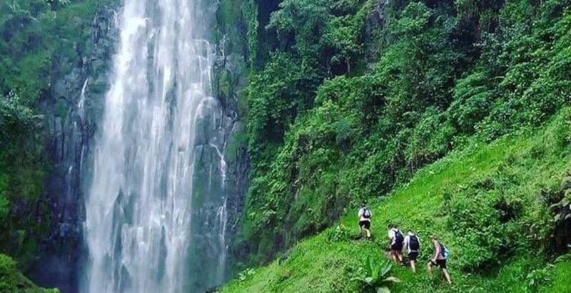 Moshi: Materuni Waterfalls and Coffee Tour with Lunch - What Tour Participants Say