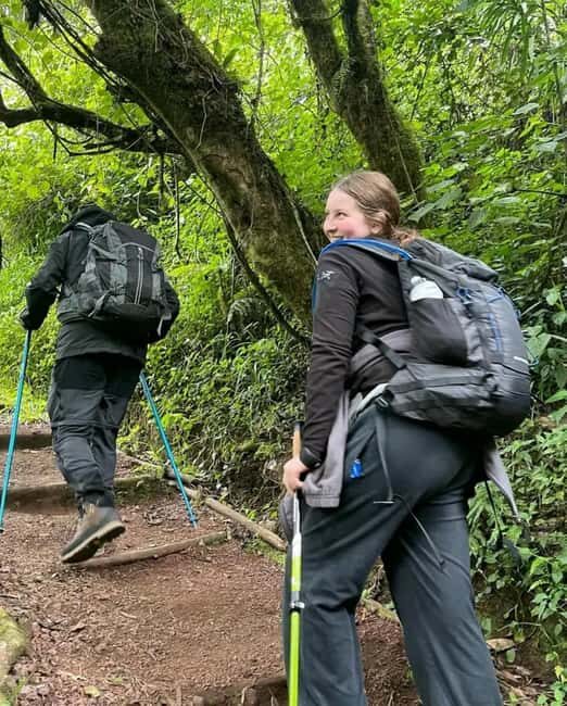 Moshi: Mount Kilimanjaro Day Trip with Maundi Crater Hike - Key Points