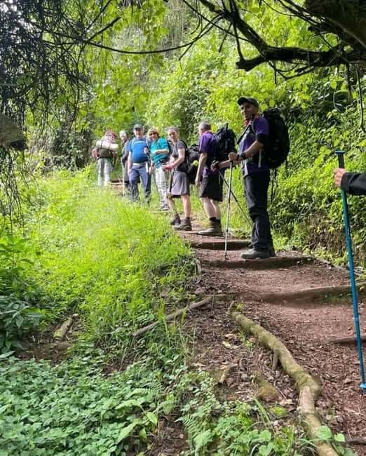 Moshi: Mount Kilimanjaro Day Trip with Maundi Crater Hike - What’s Included and What to Bring