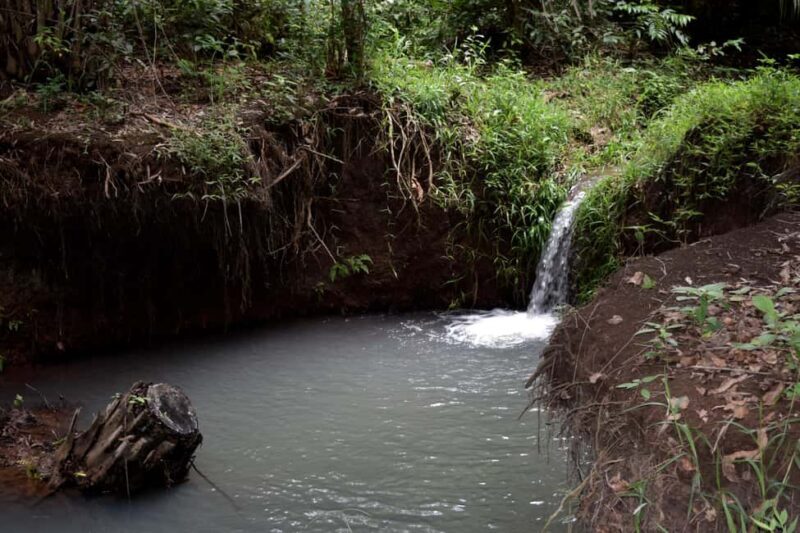 Moshi: Rau Forest (Hiking or Bike Tour) - Who Should Consider This Tour?