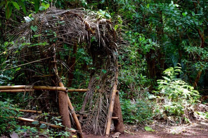 Moshi: Rau Forest (Hiking or Bike Tour) - FAQs