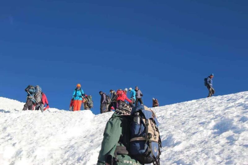 Moshi: Shira Plateau Day Trip with Hike and Scenic Drive - What You Get and What You Might Miss
