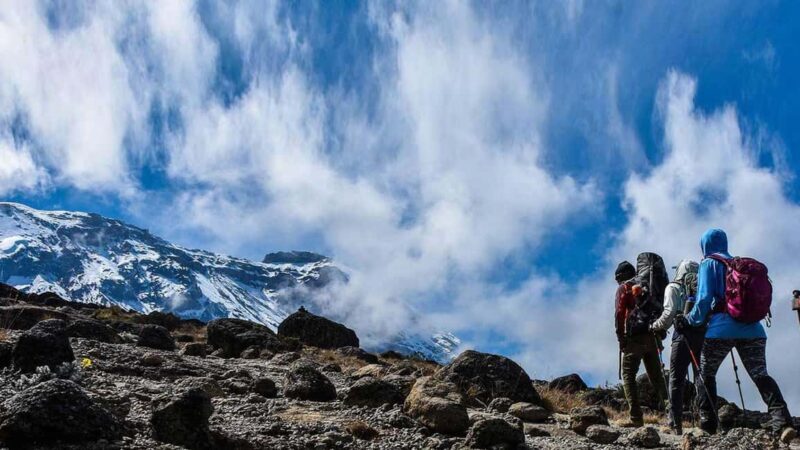 Moshi: Shira Plateau Day Trip with Hike and Scenic Drive - Cost and Value Analysis