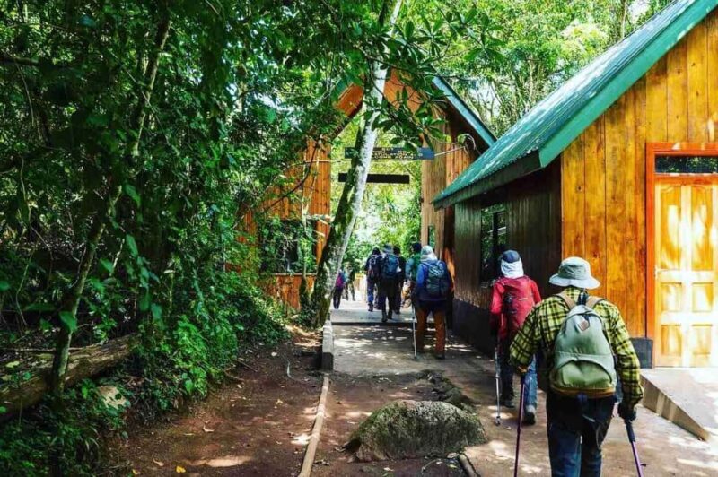 Moshi:Mount Kilimanjaro Day Hike with Mandara Hut Trek - An Overview of the Kilimanjaro Day Hike Experience