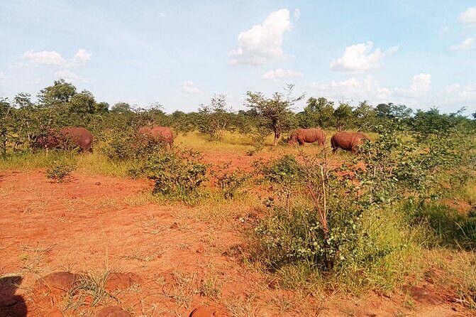 Mosi-oa-Tunya National Park Rhino Walk - Final Thoughts