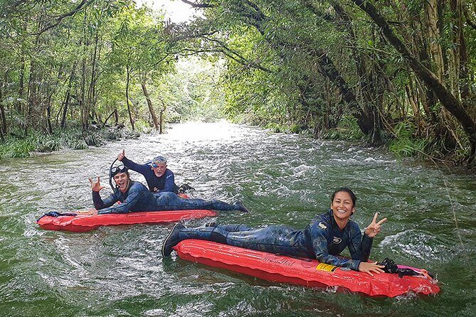 Mossman Gorge Adventure Day - The Itinerary: An In-Depth Look
