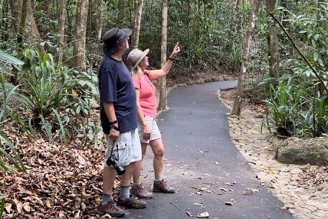 Mossman Gorge Daintree Experience Small Groups - Comprehensive Review of the Mossman Gorge Daintree Experience Small Groups