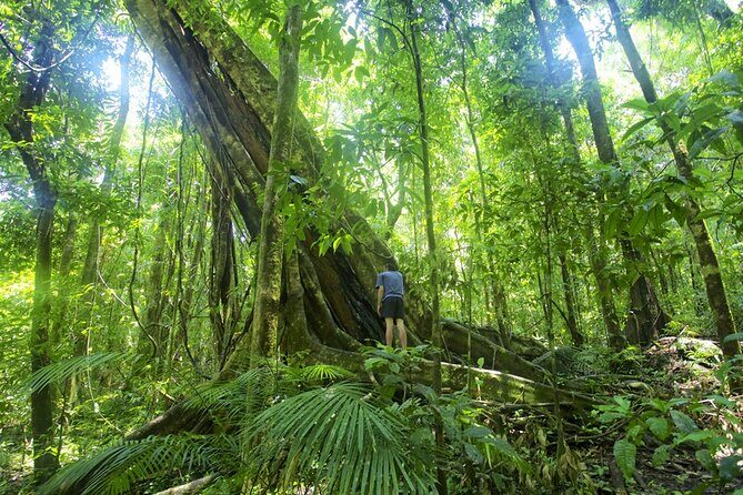 Mossman Gorge Daintree Experience Small Groups - Transportation & Practical Details