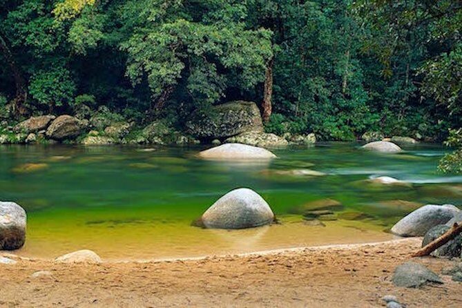 MOSSMAN GORGE TRANSFER between Port Douglas and Mossman Gorge (return) - Final Thoughts