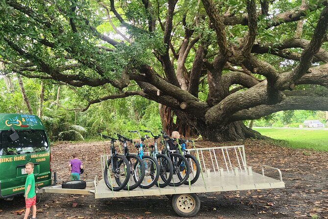 Mossman Highlights eBike Tour - The Final Word