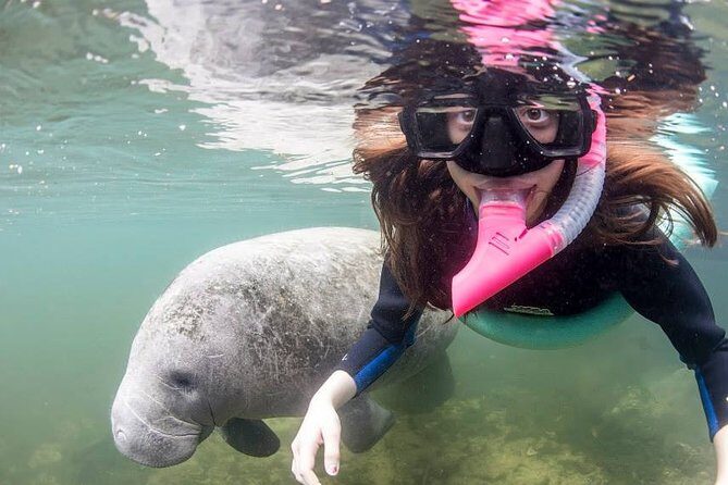 Most Popular 3hr Manatee Swim Tour + In-Water Guide! - Who Will Love This Experience?