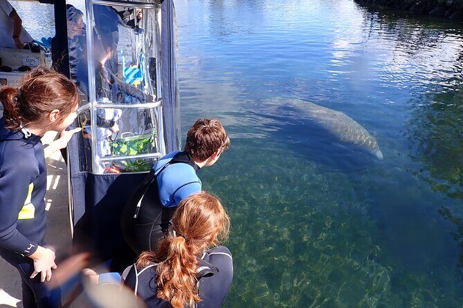 Most Popular 3hr Manatee Swim Tour + In-Water Guide! - Detailed Breakdown of the Itinerary