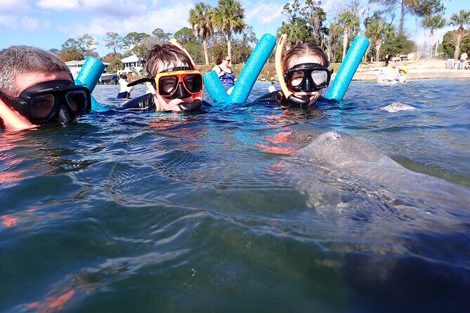 Most Popular 3hr Manatee Swim Tour + In-Water Guide! - Final Thoughts: Is This Tour Right for You?