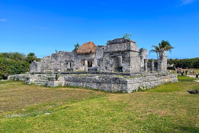 Mother Nature, Tulum, Casa Tortuga Cenote and 5th av - What’s Included and What’s Not