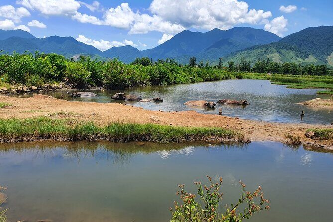 Motorbike Tour From Hue to Danang or Hoi An via Hai Van Pass - A Detailed Look at the Tour Experience