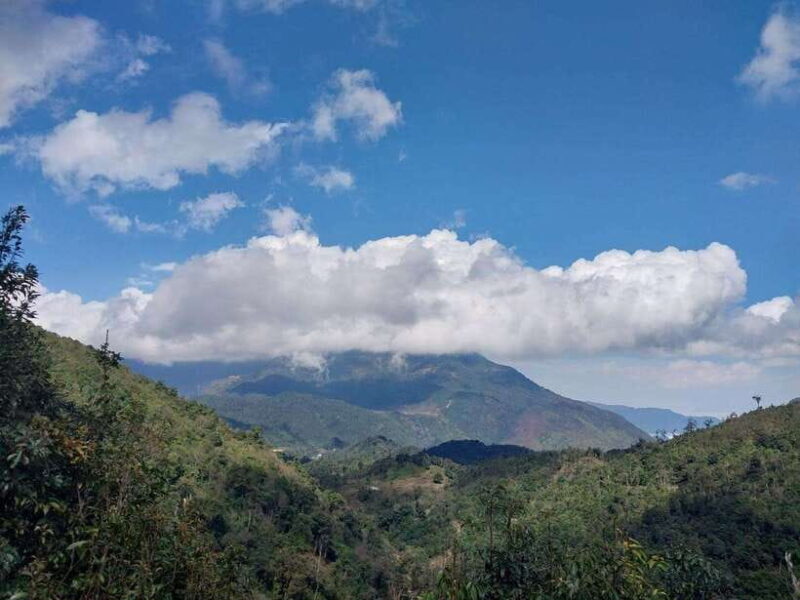 Motorbike Tour: Waterfall, Lonely Tree, and Green Tea Hill - Key Points
