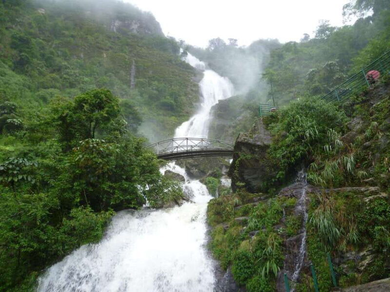 Motorbike Tour: Waterfall, Lonely Tree, and Green Tea Hill - FAQs