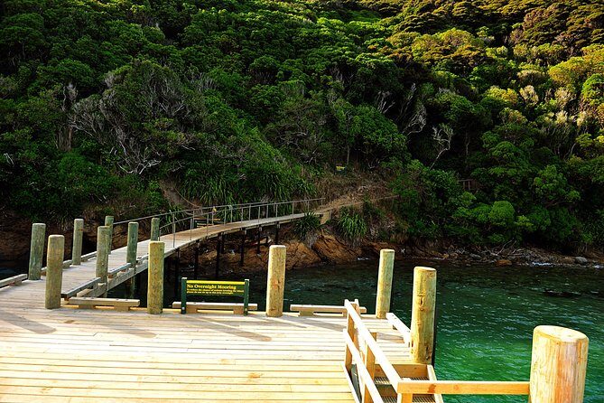 Motuara Island Bird Sanctuary and Ship Cove Cruise from Picton - Practical Considerations