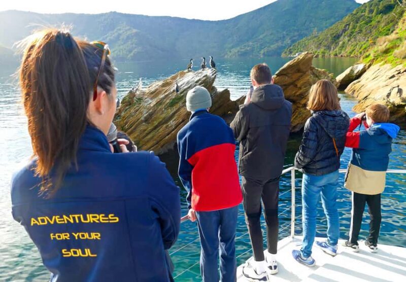 Motuara Island Sanctuary: Wildlife & Dolphin Watching Tour - Exploring the Tour: A Deep Dive into the Experience