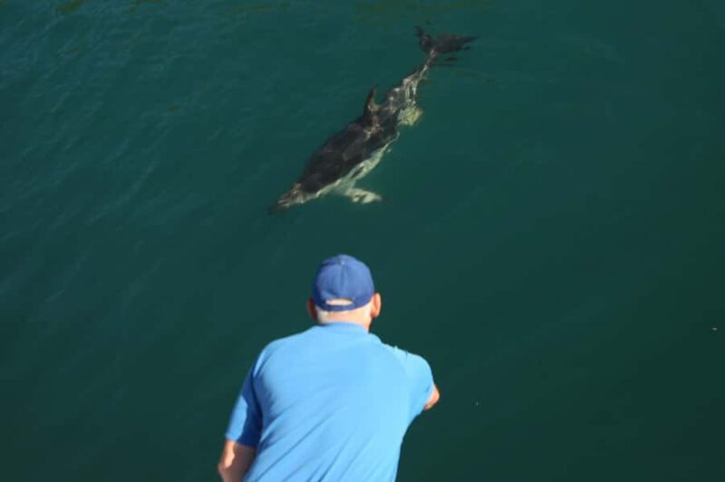Motuara Island Sanctuary: Wildlife & Dolphin Watching Tour - Price and Value: Is It Worth It?