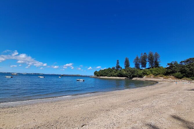 Motuihe Island Day Trip Ferry from Auckland - Key Points