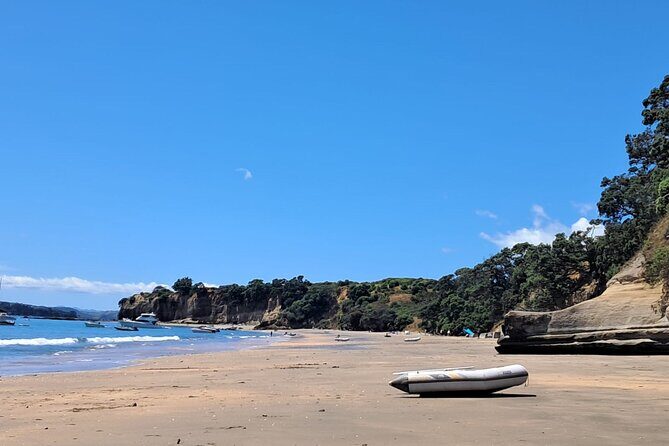 Motuihe Island Day Trip Ferry from Auckland - The Itinerary: What to Expect from Start to Finish