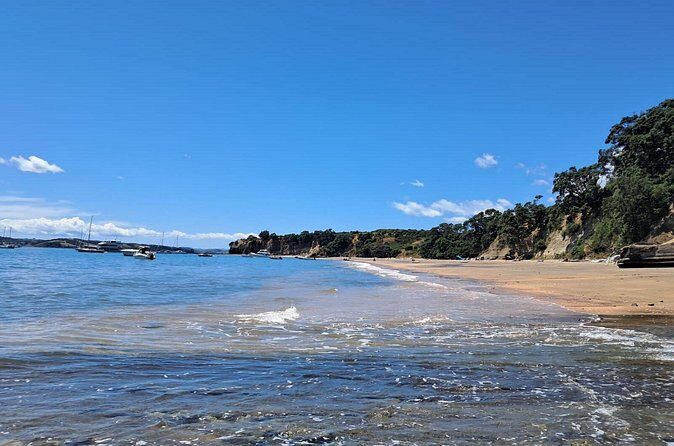 Motuihe Island Day Trip Ferry from Auckland - Reviews and Real-Life Experiences