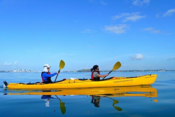 Motukorea / Browns Island Sea Kayak Journey - Authentic Traveler Insights