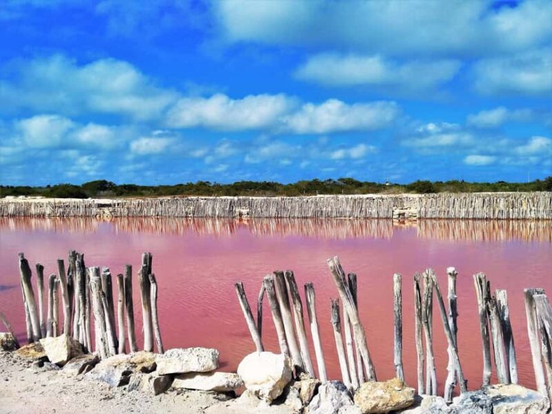 Motul, Hacienda, Xcambo, Pink Salt Mine & Progreso Day Trip - Authentic Experiences and Guide Insights