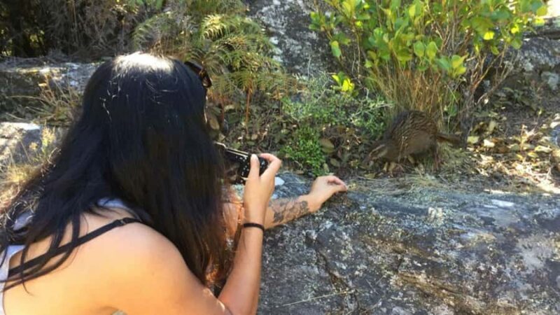 Mou Waho Island: 3-Hour Cruise and Guided Nature Walk - Final Thoughts